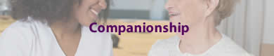 Companionship
